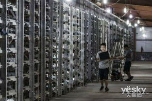 Close-up of a high-efficiency mining rig customized for multiple cryptocurrency algorithms