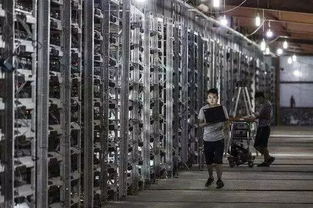 An intricate view of a mining rig setup in a professional hosting environment, highlighting hardware efficiency