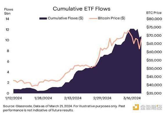 Bitcoin mining farm utilizing cutting-edge low-carbon ASIC miners powered by renewable energy