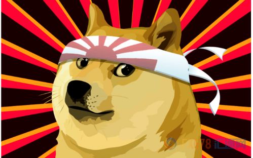 Close-up of a mining rig operating for Dogecoin and Litecoin